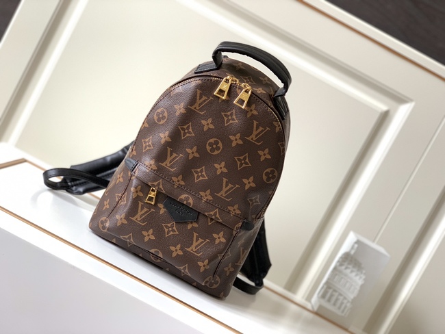 Louis Vuitton Monogram Rucksack Code: M44871