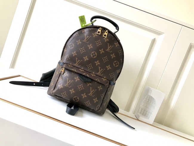 Louis Vuitton Backpack Code: M41560