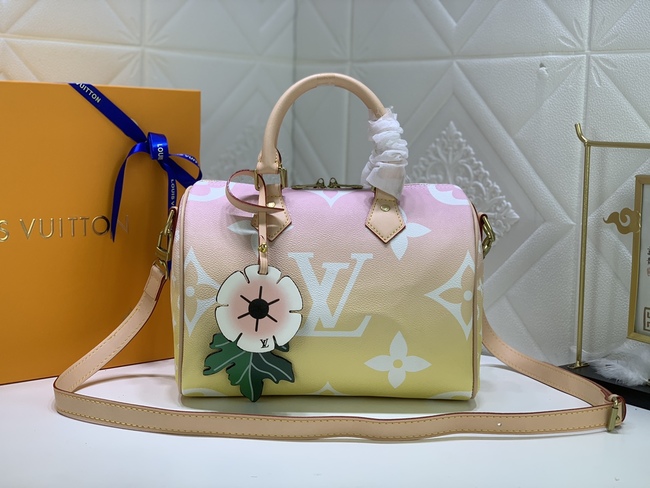 Louis Vuitton Speedy25 Handbag Code: M45724