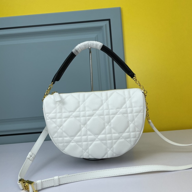 Dior Vibe Lambskin Crossbody Bag Code:9098