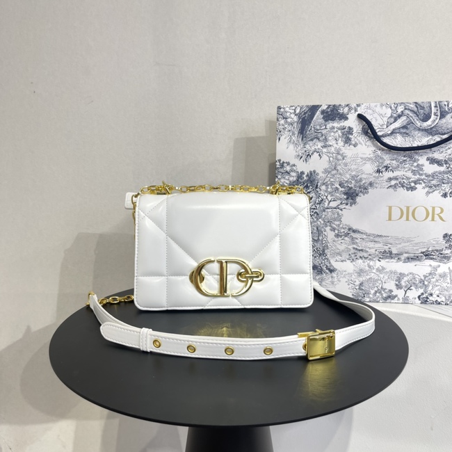 Dior Montaigne Woc Crossbody Bag