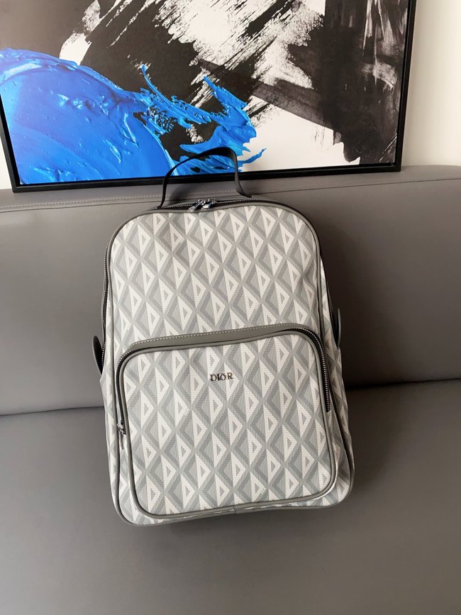 Dior Capacity Backpack