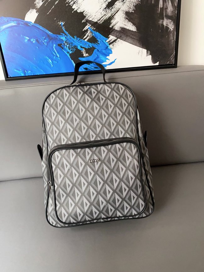 Dior Capacity Backpack