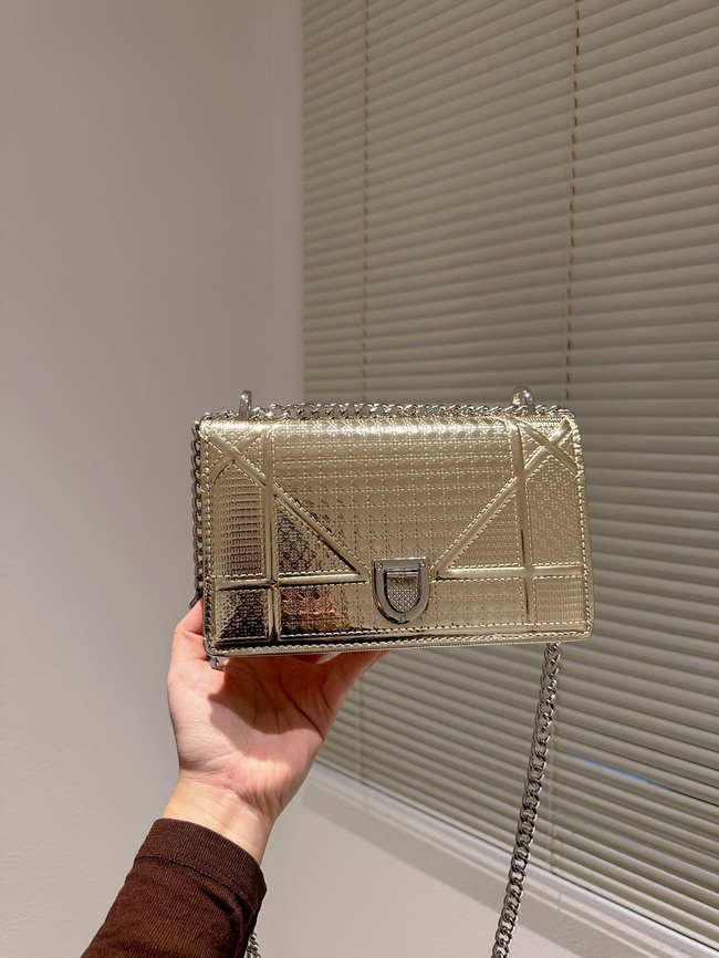 Dior Shoulder Crossbody Bag