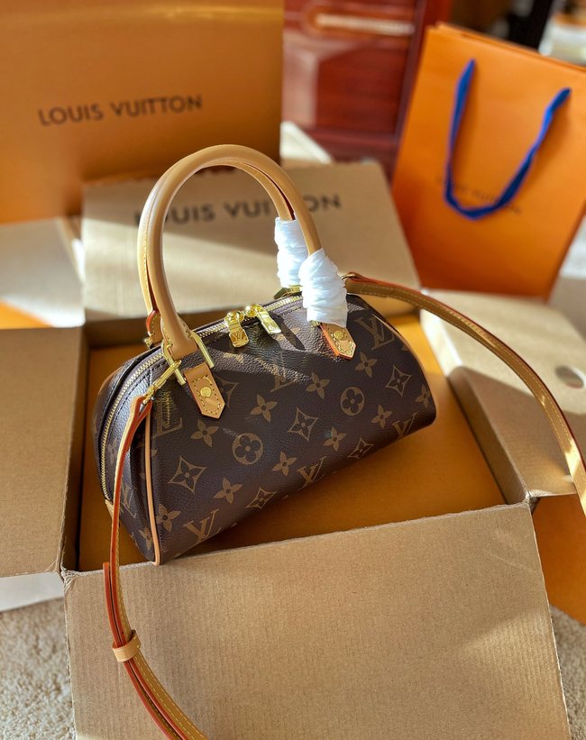 Louis Vuitton Waxed Calfskin Crossbody Bag