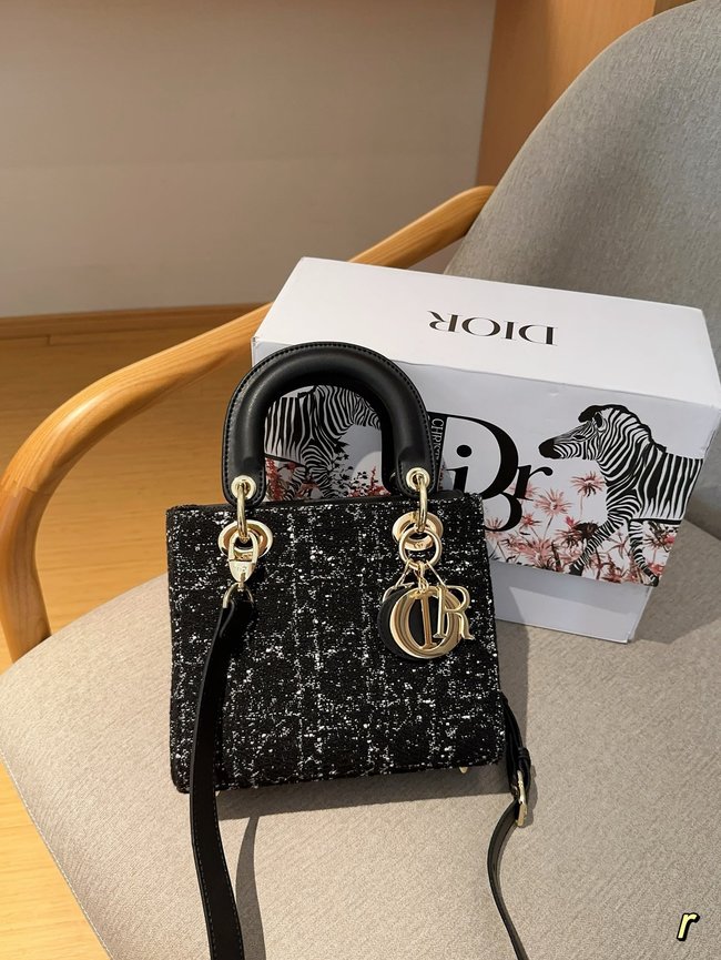 Dior D-Lite Woolen Thick Line Princess Diana Bag 
