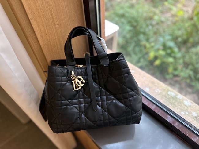 Dior Toujours Bag 