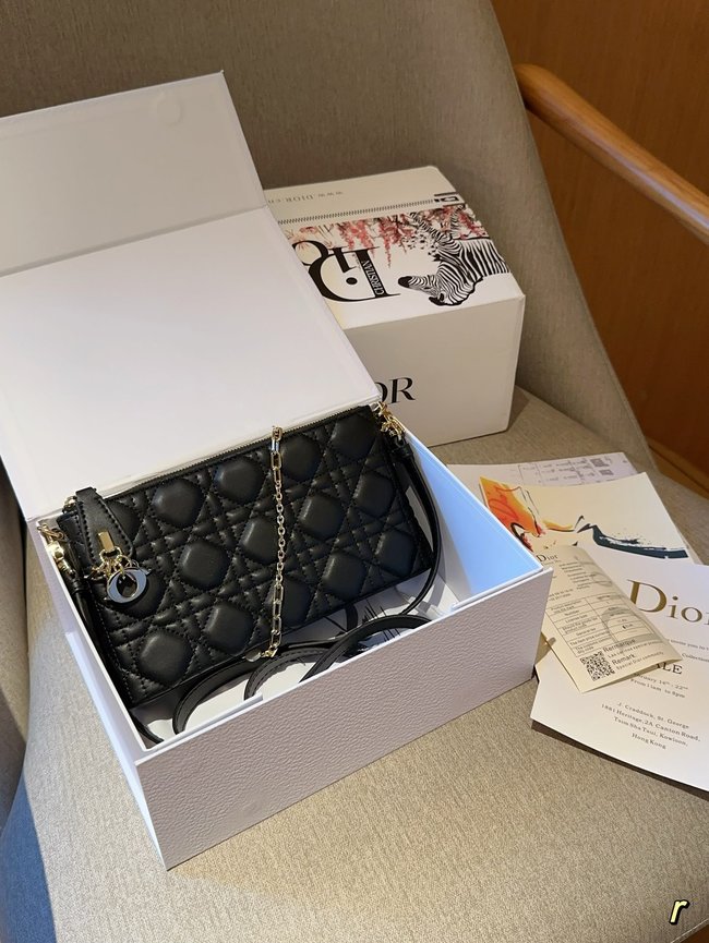 Dior Montaigne Clutch 