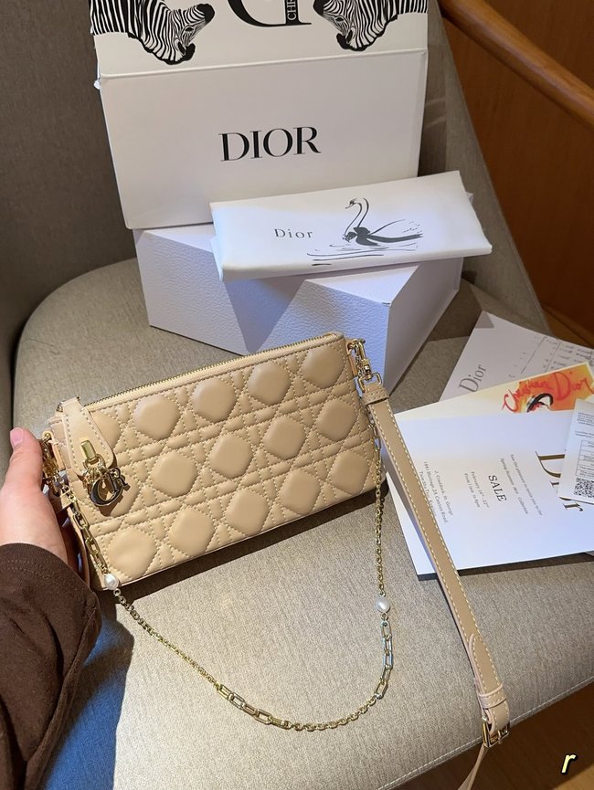 Dior Montaigne Clutch 