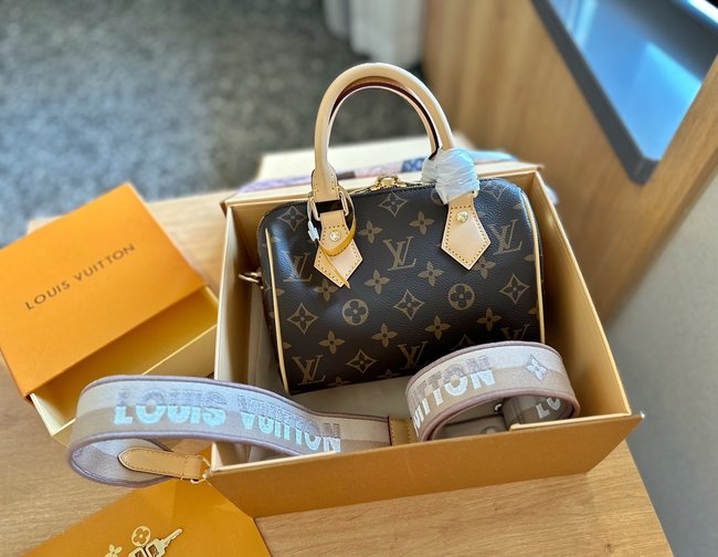 Louis Vuitton Speedy 20 Pillow Bag 