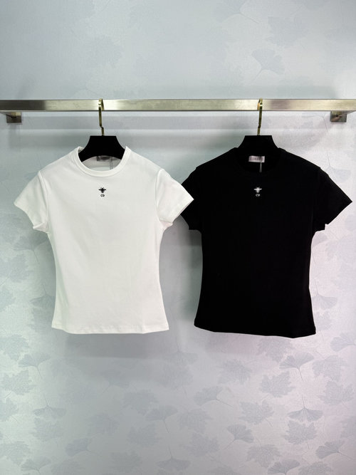 Dior Embroidered Letter Short T-Shirt Crafted from High-Count Cotton Fabric