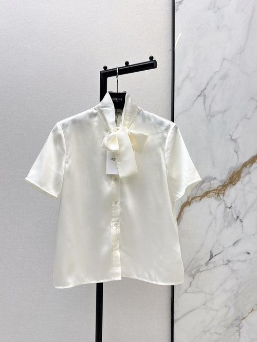 Celine Minimalist Loose Silk Shirt for Commuting