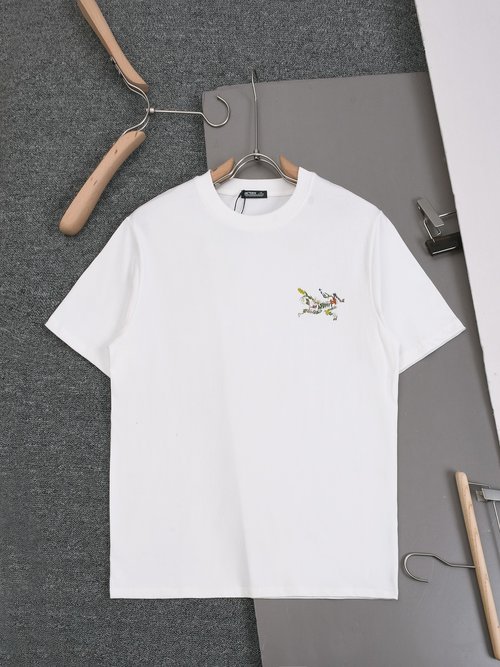 ArcTeryx Arcteryx Print Round Neck Cotton T-Shirt