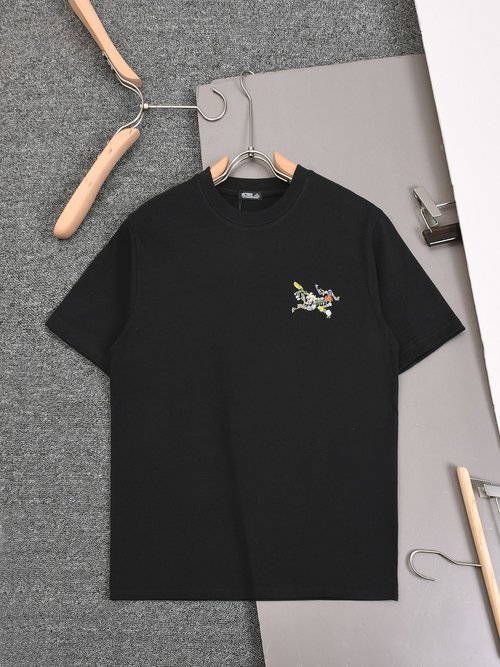 ArcTeryx Arcteryx Print Round Neck Cotton T-Shirt