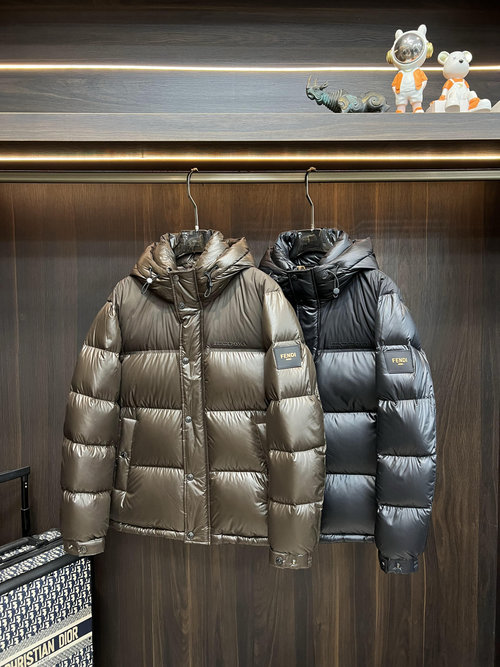 Dior Fashionable Designer Down Jacket with Arm Logo