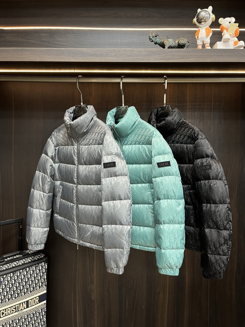 Dior Elegant Stand - Collar Down Jacket in Multiple Colors