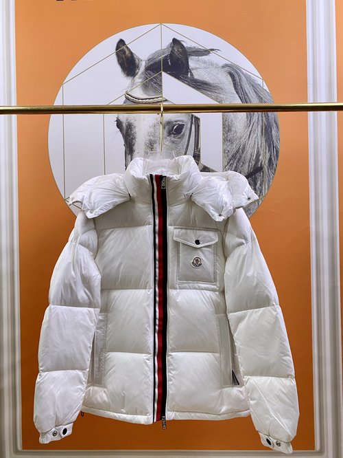 Moncler Superior Down Jacket with Minimalist Design