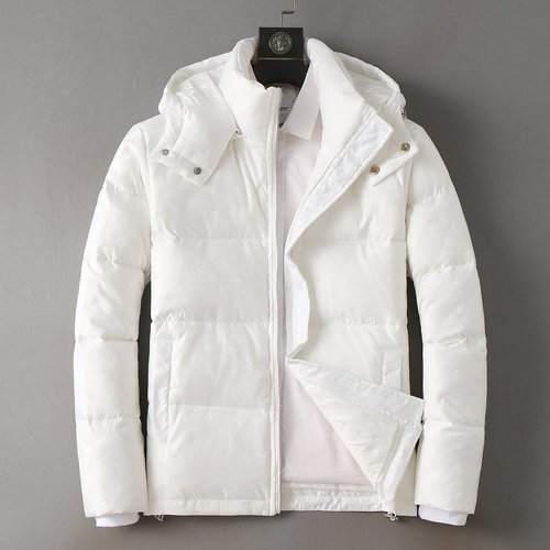 Louis Vuitton Premium 90% Down Jacket with Logo and Color