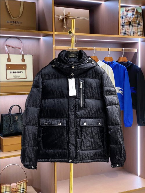 Dior Premium Goose Down Jacket with Logo and Color Block