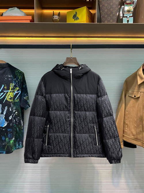 Dior Premium 90% Down Jacket with Logo