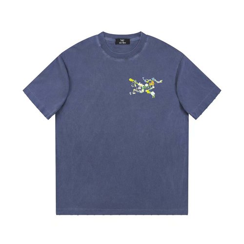 ArcTeryx Cotton Vintage Crew Neck Print T-Shirt in Three Colors