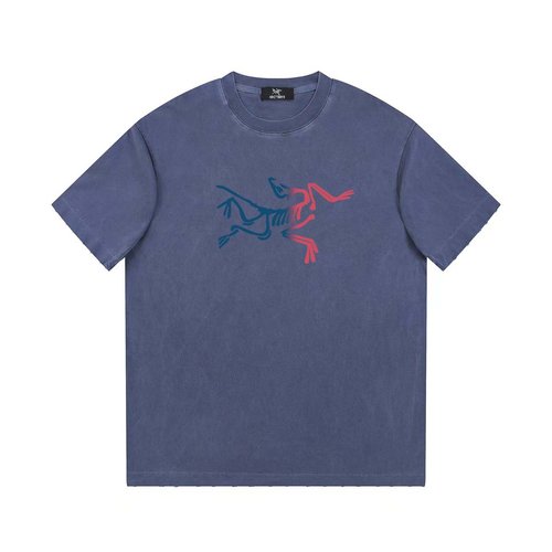 ArcTeryx Cotton Washed Vintage Print T-Shirt in Denim Blue and Gray