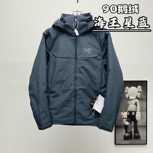 ArcTeryx Terminal-supplied Removable Hood Down Jacket