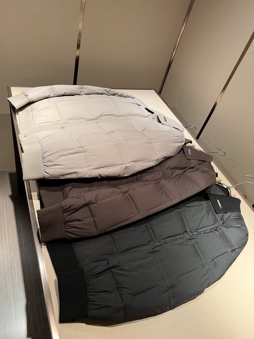 Loro Piana Down Jacket with Logo and Unique Patterns