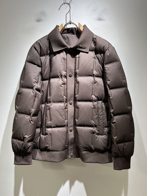 Loro Piana Unisex Down Jacket Featuring Unique Design