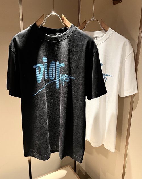 Dior Classic Printed Logo 260g Cotton Short Sleeve T-Shirt