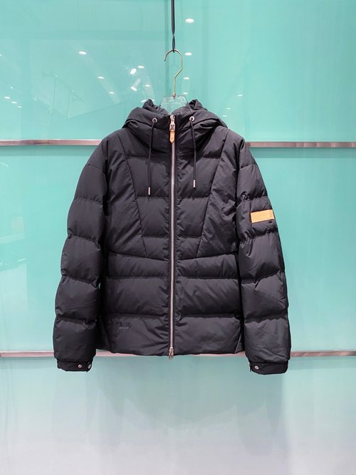 Louis Vuitton Embroidered Monogram Down Jacket
